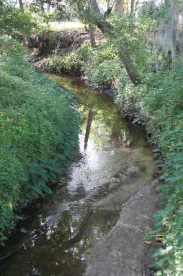 Briar Creek