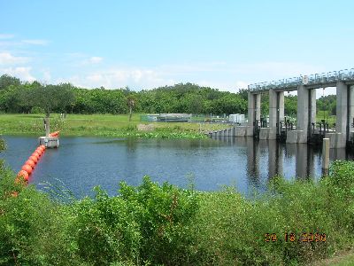 Lake Tarpon Outfall Canal