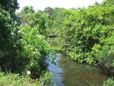 Longbranch Creek